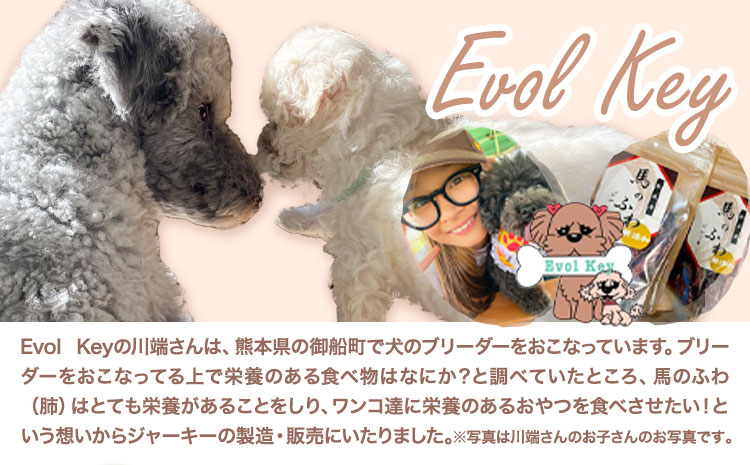 ドッグフード ジャーキー 無添加 馬のふわ ジャーキー 30g ×5袋 ペット用 Evol Key 熊本県 御船町《30日以内に出荷予定(土日祝除く)》送料無料_イメージ2