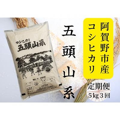 ふるさと納税 阿賀野市 【令和7年産】【3回定期便】「米屋のこだわり阿賀野市産」コシヒカリ5kg×3回