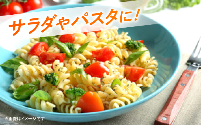 ミニトマト 約1kg（小分け6パック）＜ファゼンダ坂本＞ [CGP001]