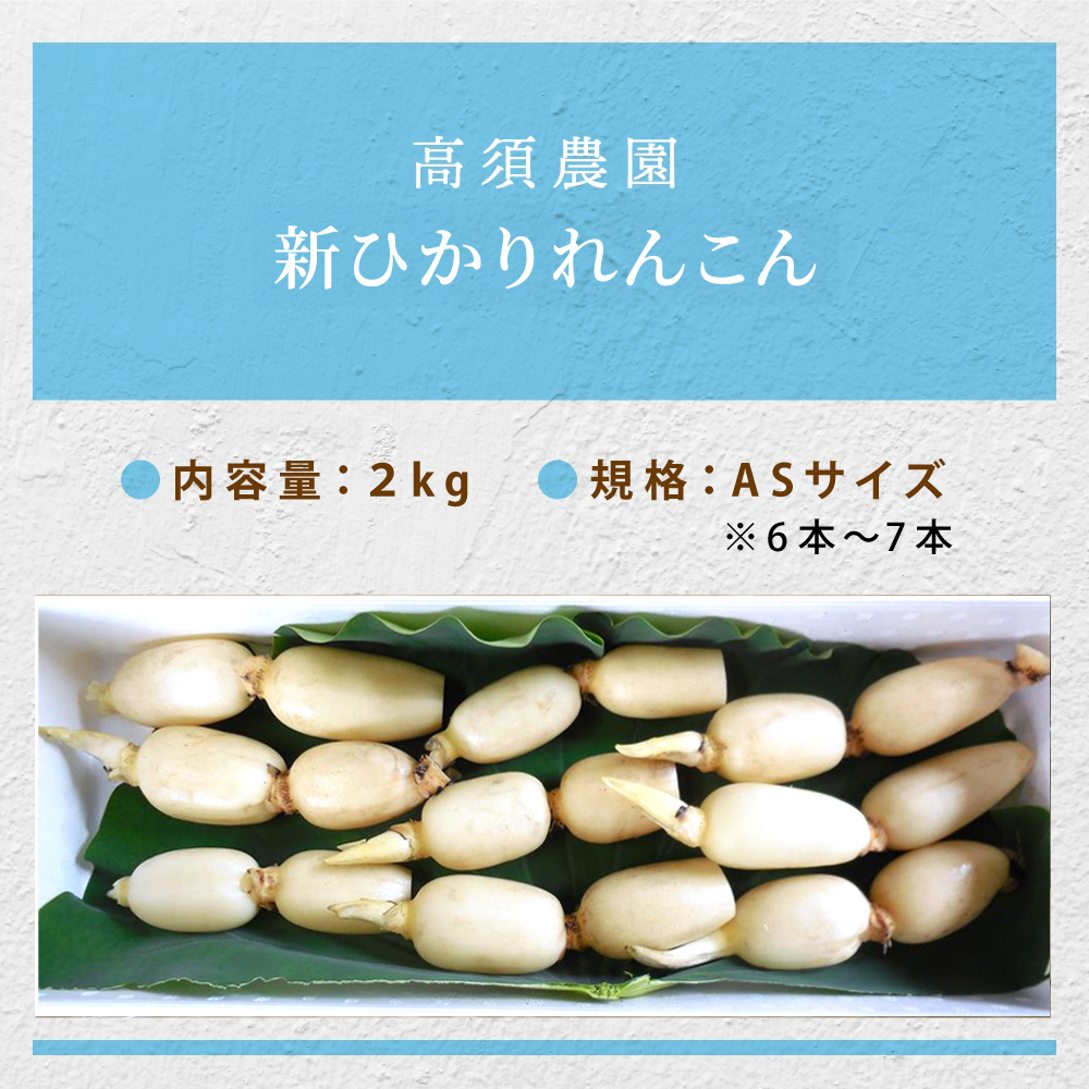 夏だけの味！「新ひかりれんこん」2kg (ASサイズ) 専用箱入｜ レンコン 新れんこん 蓮根 根野菜 浮島れんこん 稲敷 稲敷 [1743]