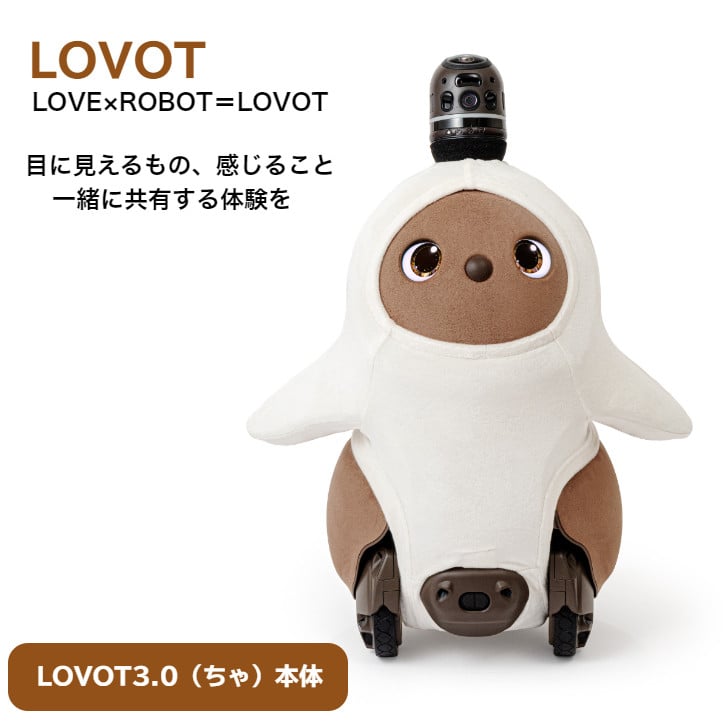 
            LOVOT 3.0　(ちゃ)／No.240617-01
          
