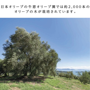 【7月上旬発送！】御中元 有機栽培 エキストラバージン オリーブオイル 180g 3本セット 調味料 オリーブ油 植物オイル シングル ブレンド ギフト [・5735-1839]