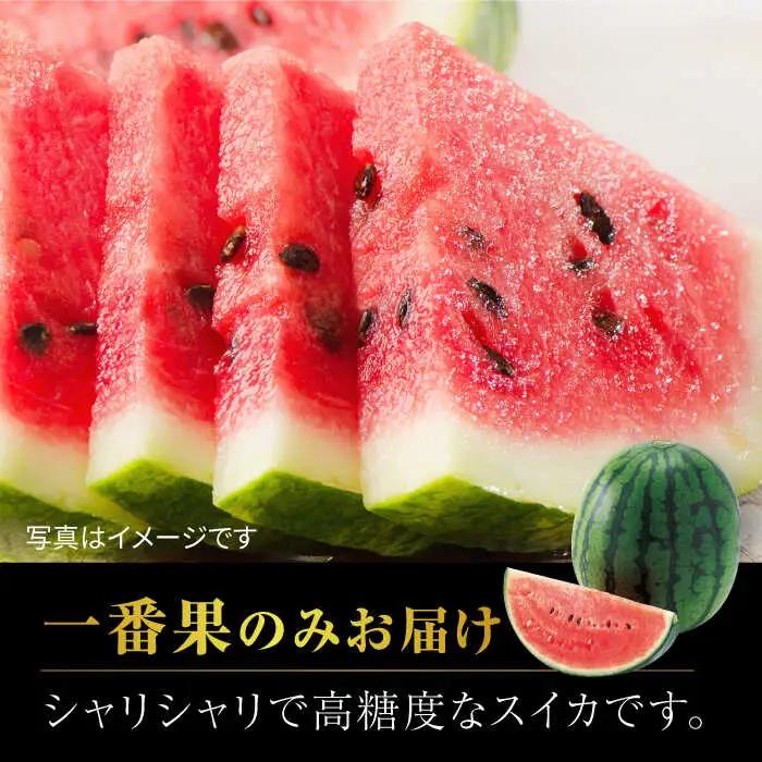 【先行予約】熊本スイカ小玉スイカひとりじめ4玉2Lサイズ西瓜すいかZCM012