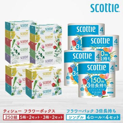 ふるさと納税 八代市 スコッティ ティシュー5箱P×2セット+3箱P×2セット+トイレット4ロール(シングル)P×4セット