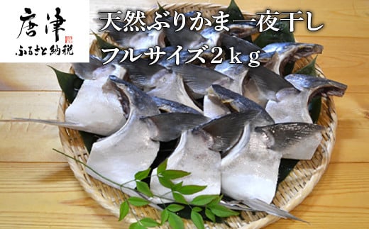 
天然ぶりかま一夜干し フルサイズ1食200g×10袋(合計2㎏) おかず おつまみ 「2024年 令和6年」
