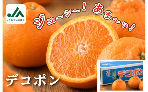 【先行予約】【数量限定】今治産 デコポン 3L～L 18～24玉【KB02510】JAおちいまばり