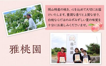 桃 2024年 先行予約 ご家庭用 岡山 白桃 4玉～６玉 1.2kg 前後 もも 岡山県産 国産 フルーツ 果物 雅桃園 [No.5220-1628]