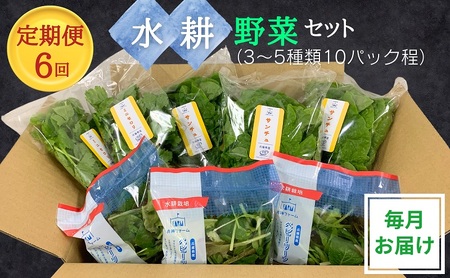 【定期便6回】毎月お届け 水耕野菜セット（3～5種類10パック程）