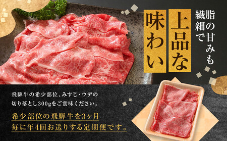 ちょっとリッチな飛騨牛（希少部位）約1.2kg 【3月・6月・9月・12月発送】定期便 4回 | みすじ ウデ すき焼き しゃぶしゃぶ  希少部位 300g 和牛 国産牛 冷凍 飛騨高山 飛騨牛のこも