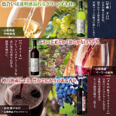 ふるさと納税 笛吹市 山梨県 モンデ酒造 モンデワイン 飲み比べ 5種×各1本 赤 白 スパークリング 笛吹市 |  | 01