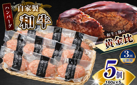 【定期便3回】自家製和牛ハンバーグ（生・冷凍個別真空）5個セット  | 牛肉 牛 肉 にく 和牛 かずさ和牛 国産 ハンバーグ 新鮮 オススメ 千葉県 君津市 きみつ
