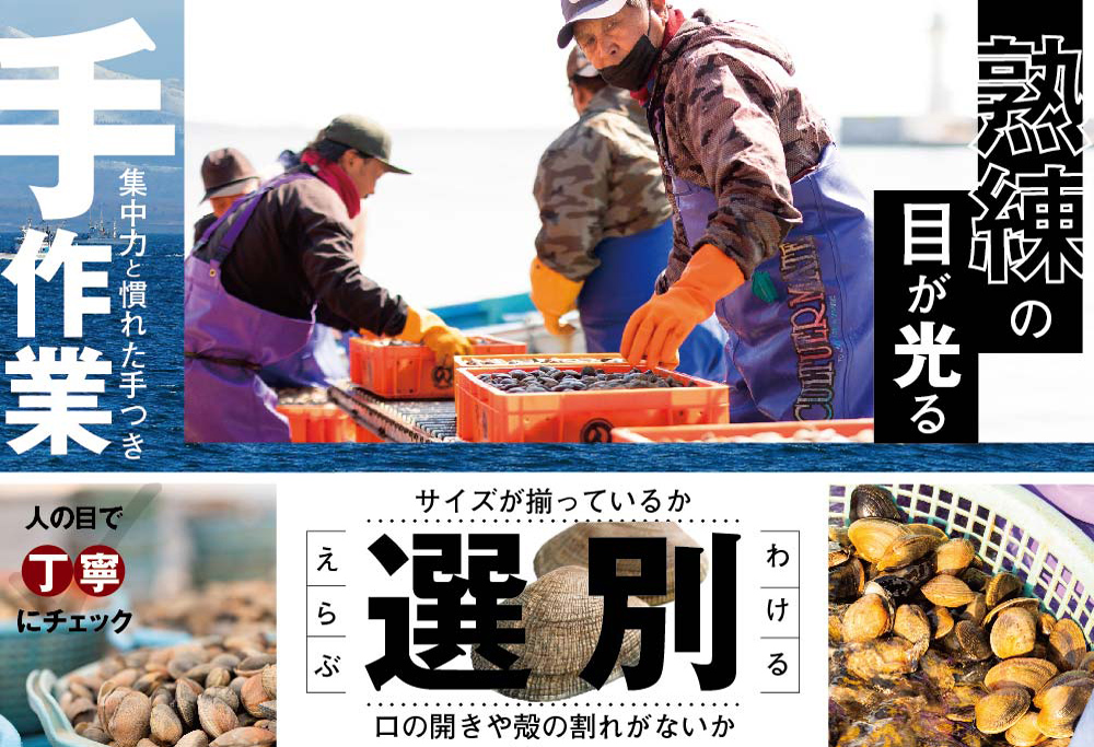 北海道 道東産 アサリ中 3kg (冷凍)　約 300g ×10 袋