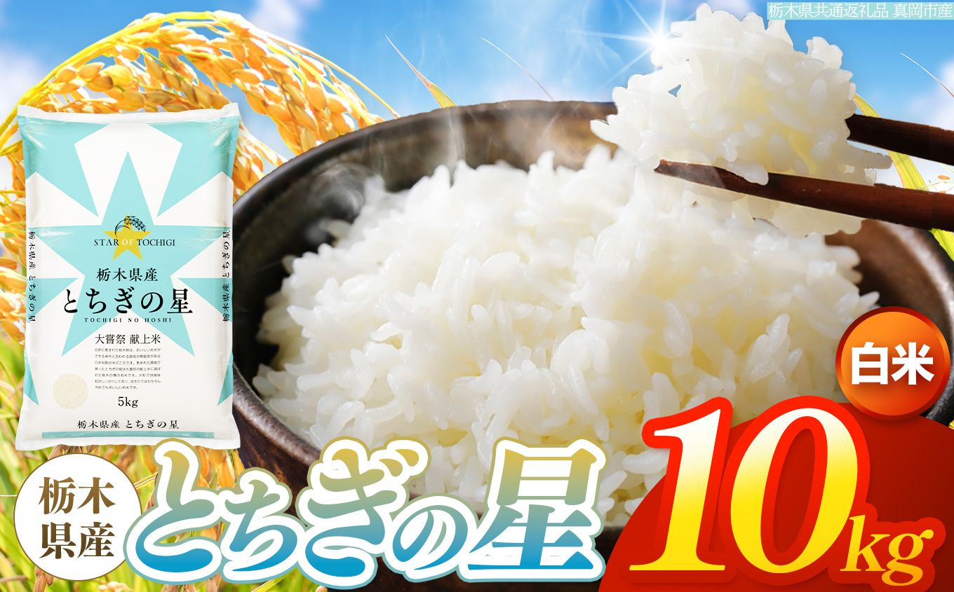 【令和8年産 新米】 栃木県産 お米 とちぎの星　（白米） 10kg 【2026年秋 先行予約】 |  栃木県 矢板市 【栃木県共通返礼品 真岡市産】 白米 10kg | 20000円