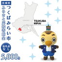 【ふるさと納税】【 返礼品なし 】 茨城県 つくばみらい市 ふるさと応援寄附金 （ 5,000円 )