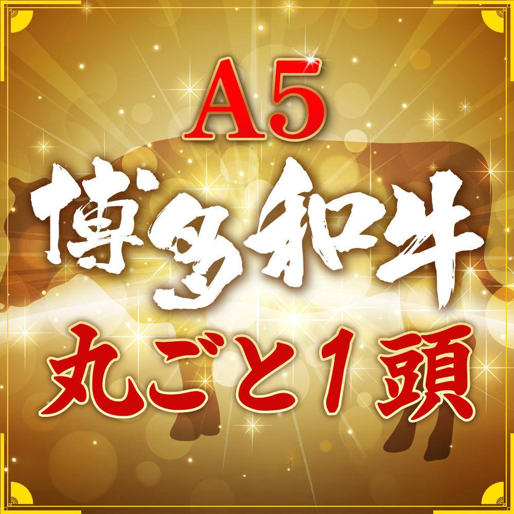 2N2 なんと＜A5等級＞博多和牛丸ごと1頭 !!