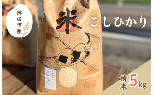 令和7年度茨城県鉾田市産「こしひかり」（精米） 5kg