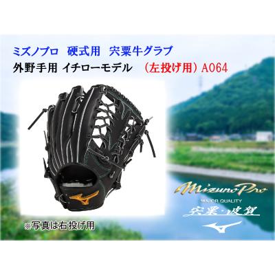 ふるさと納税 宍粟市 ミズノプロ 硬式用 宍粟牛グラブ 外野手用 イチローモデル(左投げ用)AO64