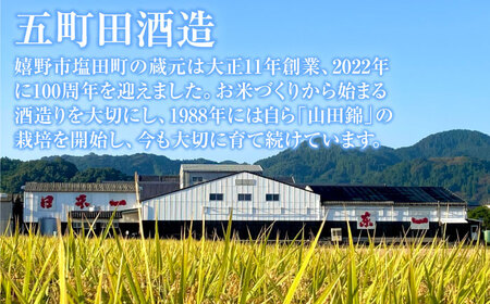 東一 純米大吟醸・純米吟醸 720ml×2本 / 日本酒 お酒 銘酒 地酒 / 佐賀県 / 有限会社嬉野酒店 [41AIAA016]