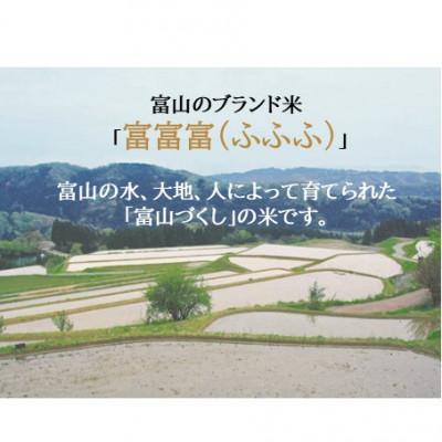 ふるさと納税 氷見市 令和7年産 富山県産 富富富 精米 4kg(2kg×2袋)精米 ブランド米 |  | 02