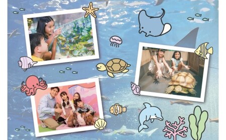 「DMMかりゆし水族館」入場券 大人1名(18歳以上)｜水族館 入場券 チケット 旅行 観光 沖縄旅行 沖縄 おきなわ 豊見城市(DG001)