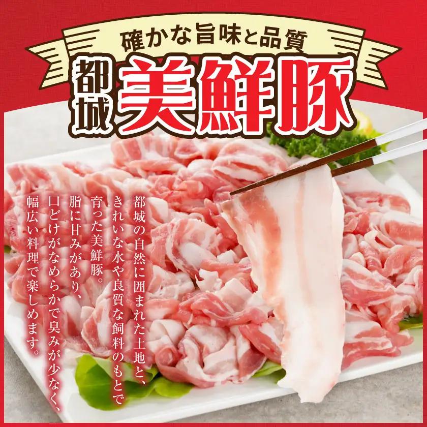 都城美鮮豚バラしゃぶ1kgセット(250g×4パック)〔AA-5401〕_(都城市) 都城美鮮豚 バラしゃぶ 250g×4 ミルフィーユ鍋 しゃぶしゃぶ 炒め物 丼もの