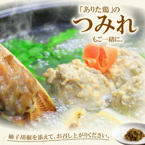 博多水炊き(はかた一番どり切り身・つみれ)セット 4～6人前 KBC1006