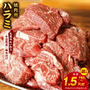 【ふるさと納税】牛肉 ハラミ 750g（250g×3） / 1kg（250g×4） / 1.5kg（250g×6） 【丸善味わい加工】 【氷温熟成×極味付け】 氷温熟成牛 牛肉 熟成肉 作り方 ふるさと納税オリジナル 限定 大阪府 泉佐野市 送料無料 肉の泉佐野