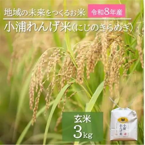 令和8年産(2026年産)新米!小浦れんげ米(にじのきらめき)【玄米】3kg【1684639】
