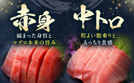 対馬産 本マグロ 700g（赤身400g、中トロ300g） トロの華 対馬 新鮮 マグロ トロ 鮪 刺身 [WAQ047]