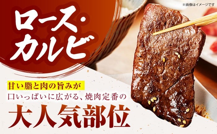 【いろいろな部位を楽しめて、食べごたえ抜群！】佐賀牛 はしっこちゃん＜ロース カルビ＞ 500g 