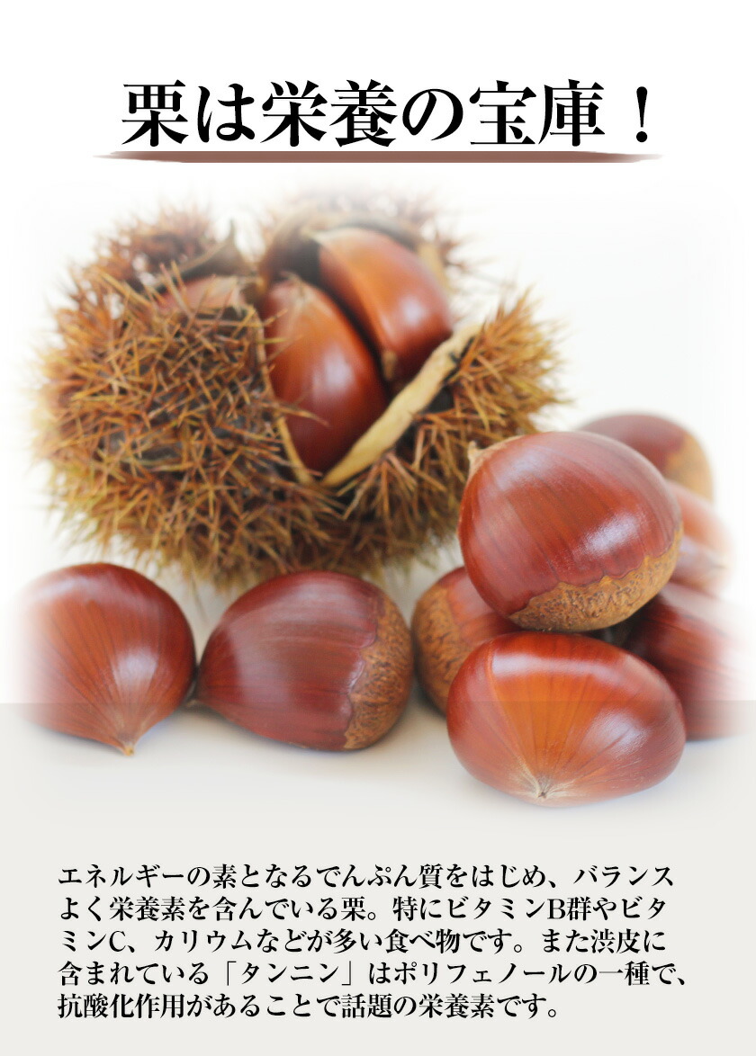 生栗 熊本県御船町産限定 約1kg または 約2kg(2L-Lサイズ)《9月上旬-9月下旬頃出荷》送料無料 期間限定 野菜 予約 スイーツ きんとん 甘露煮 渋皮煮 栗ご飯 熊本県御船町_イメージ4