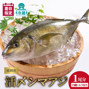 【冷蔵】延岡産活〆鮮魚職人技の脱血鮮魚シマアジ N019-YB823