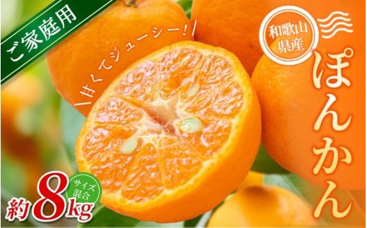 【ご家庭用】手選別 ぽんかん 約8kg 和歌山県産 2S~2Lサイズ混合※2026年1月上旬～2月上旬頃に順次発送【mrmt044】