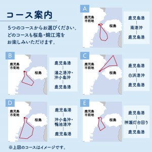 桜島フェリー貸切船クルーズ K168-001