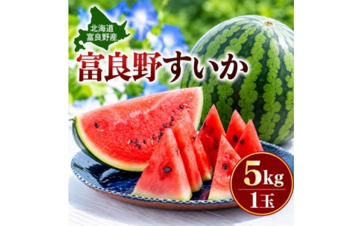 【発送月固定定期便】富良野産　メロン・スイカ・トウモロコシ全3回【4094159】