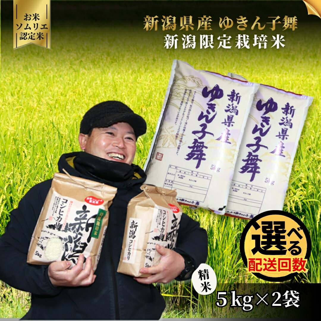 【ふるさと納税】令和7年産新米【お米ソムリエのお米】ゆきん子舞 精米 10kg（5kg×2袋 五泉市四ヶ村産 米 お米 新潟県 五泉市 エバーグリーン農場