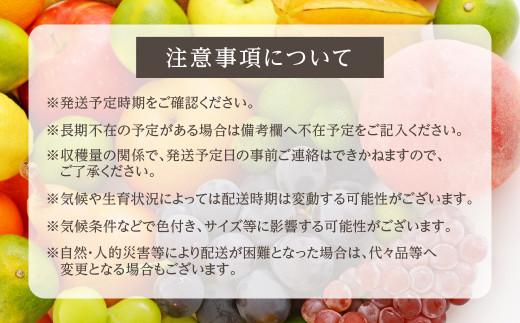 【先行予約 9月中旬～11月中旬発送】山本果樹園 季節の大粒種無しぶどう 詰め合わせ 約1.2kg（2房～3房）| 9月中旬～順次発送 果物 フルーツ おいしい ぶどう 種なし 飛騨高山 山本果樹園 