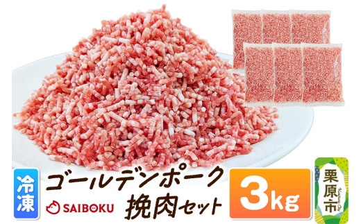 肉 豚 【冷凍】ゴールデンポーク 挽肉 3kg セット 257016T