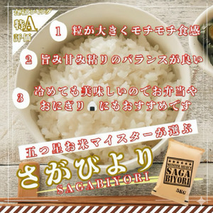 [令和7年産]【無洗米】さがびより 20kg (5kg×4袋) [15年連続特A評価! 五つ星お米マイスター厳選! ] 