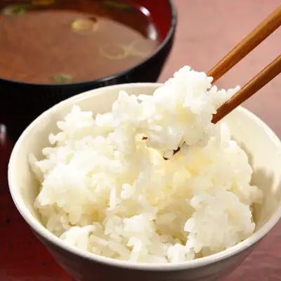  精米 20kg(5kg×4袋) ほたる米【令和7年産】お米 米 ご飯 城里町 桂農産 ＼那珂川の清流ホタル米／(AX011)