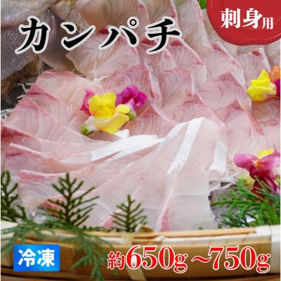 ふるさと納税 海陽町 《約650g〜750g》カンパチ(柵) 刺身用　冷凍でお届けします!