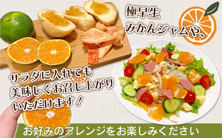 愛媛県明浜産　天晴みかん(極早生みかん)　３kg