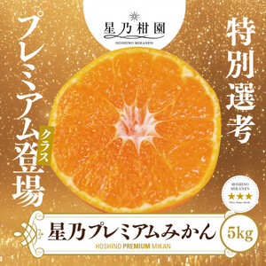 【三つ星ブランド】星乃みかんプレミアムシリーズ(5kg)【C45-84】【1454778】