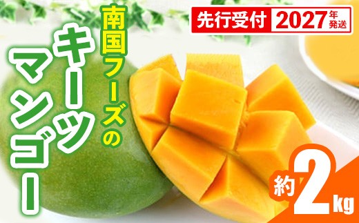 
                  【先行受付】【2027年発送】南国フーズのキーツマンゴー 約2kg - 先行予約 沖縄 産地直送 南国フルーツ 旬の味覚 沖縄県産 国産マンゴー 希少種 オススメ 沖縄県 八重瀬町
                