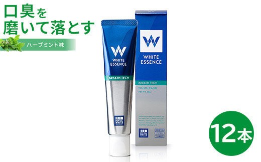 
                  【12本セット】口臭ケア 歯磨き粉 ブレステック ハーブミント味 ホワイトエッセンス [医薬部外品] | 研磨剤なし フッ素 IPMP CPC 黄ばみ ヤニ取り 茶渋 自宅 簡単 歯 歯科 歯みがき粉 歯磨き 歯医者 歯周病 ブレスケア オーラルケア
                