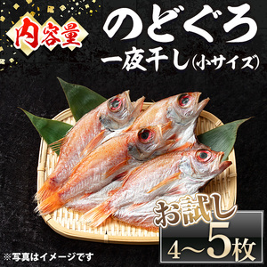 ＜数量限定・お試し＞のどぐろ一夜干し(小サイズ・4～5枚) 国産 魚介 干物 干し物 白身 海の幸 のどぐろ 赤ムツ 冷凍 おかず おつまみ お土産 【sm-DG003】【木村鮮魚店】