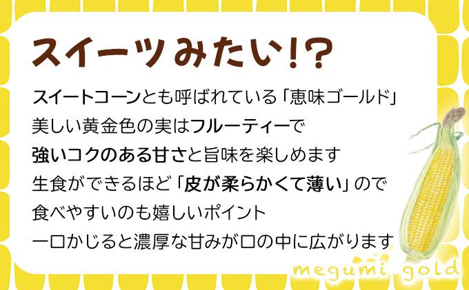 先行予約 【 2025年 発送 】北海道 朝もぎ とうもろこし 恵味 ゴールド L-LLサイズ 10本 スイート コーン トウモロコシ とうきび 旬 完熟 野菜 採れたて 朝採り 甘い めぐみ 産地直