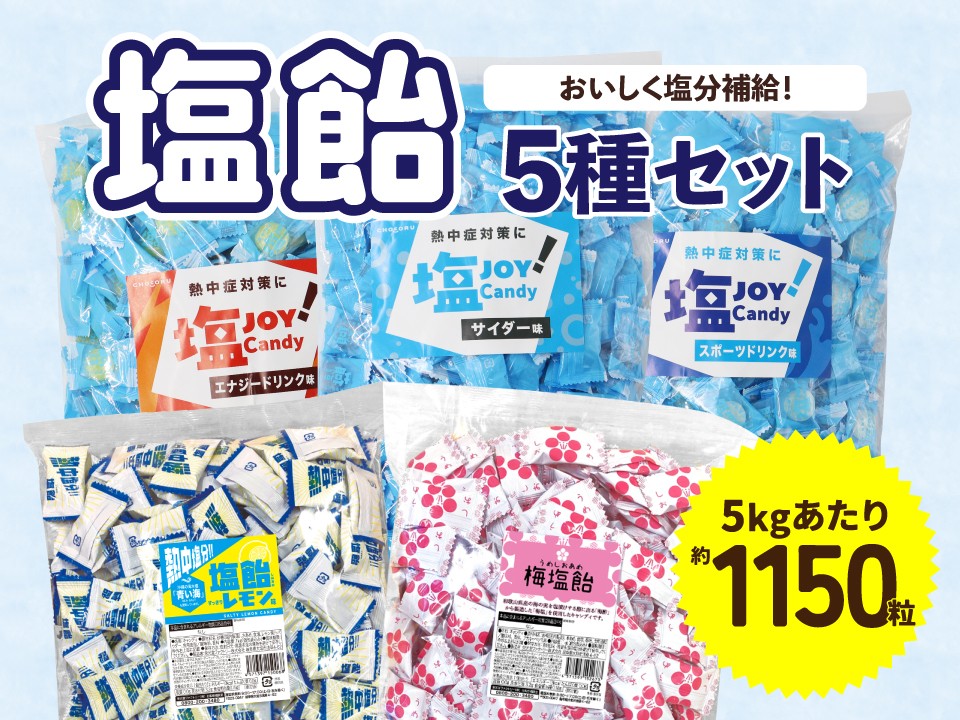 
                  夏季限定 塩飴 5種 セット 計5kg 約1150粒 しおあめ 飴 キャンディ 熱中症 熱中症対策 塩分補給 大容量 小分け 個包装 業務用 レモン味 梅味 サイダー味 エナジードリンク味 スポーツドリンク味 飴 塩飴 塩分チャージ 塩分補給 塩分 熱中症 熱中症対策 個包装 小分け 塩分補給 塩分 熱中症 熱中症対策 個包装 栄光堂 栄光堂ファクトリー 27000円 2万7千円 岐阜県 大垣市
                