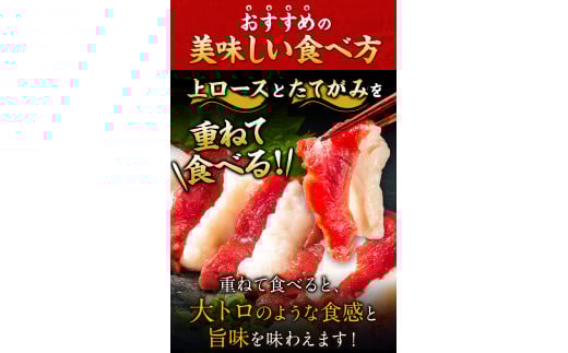 馬刺し 国産 上ロース馬刺しセット 合計400g 50g小分け《90日以内に出荷予定(土日祝除く)》 たてがみ コーネ ブロック 国産 熊本肥育 冷凍 生食用 肉 馬ロース 絶品 牛肉よりヘルシー 馬