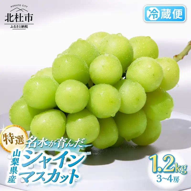 【2026年発送】【期間限定】八ヶ岳南麓の天然水で育てたシャインマスカット 1.2kg(3～4房) [h198]